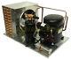 Indoor QT AE2413Y-AA1B Condensing Unit 1/3 HP, Low Temp, R134a, 115V (USA)